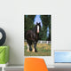 Cheval De Trait Shire Wall Mural