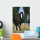Cheval De Trait Shire Wall Mural