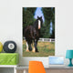 Cheval De Trait Shire Wall Mural