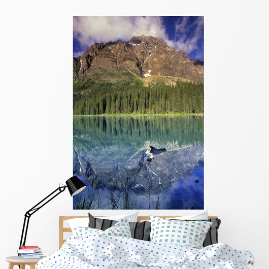 Chephren Lake And Mt Chephren, Banff National Park, Alberta Wall Mural