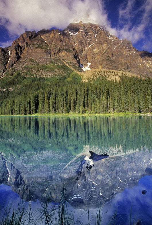 Chephren Lake And Mt Chephren, Banff National Park, Alberta Wall Mural