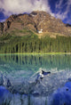 Chephren Lake And Mt Chephren, Banff National Park, Alberta Wall Mural