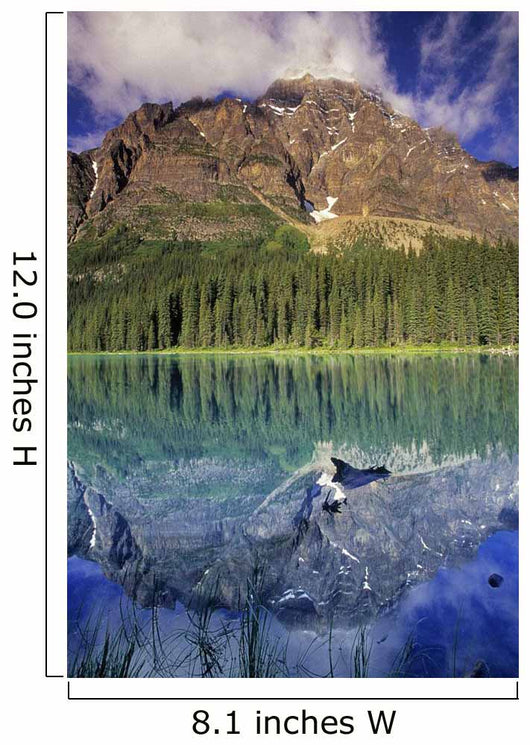 Chephren Lake And Mt Chephren, Banff National Park, Alberta Wall Mural