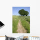 Road with Trees 1 Wall Decal