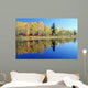 Fall Trees And Whiteshell River, Whiteshell Provincial Park, Monitoba Wall Mural