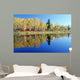 Fall Trees And Whiteshell River, Whiteshell Provincial Park, Monitoba Wall Mural