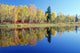 Fall Trees And Whiteshell River, Whiteshell Provincial Park, Monitoba Wall Mural
