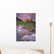 Mt Silverhorn And Silverhorn Creek Wall Mural