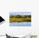Pond And Cattle Near Mansonville, Eastern Townships, Quebec Wall Mural