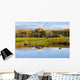 Pond And Cattle Near Mansonville, Eastern Townships, Quebec Wall Mural