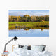 Pond And Cattle Near Mansonville, Eastern Townships, Quebec Wall Mural