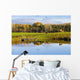 Pond And Cattle Near Mansonville, Eastern Townships, Quebec Wall Mural