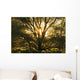 Artist's Choice Wall Mural