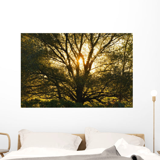 Artist's Choice Wall Mural