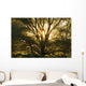 Artist's Choice Wall Mural