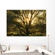 Artist's Choice Wall Mural