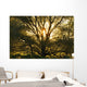 Artist's Choice Wall Mural