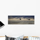 Trumpeter Swan Silhouetted In Flight Near Swan Haven, Yukon Territory Wall Mural