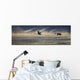 Trumpeter Swan Silhouetted In Flight Near Swan Haven, Yukon Territory Wall Mural