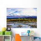 Artist's Choice: Chistochina River And Mount Sanford, Alaska Wall Mural