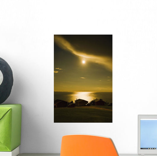 Artist's Choice Wall Mural