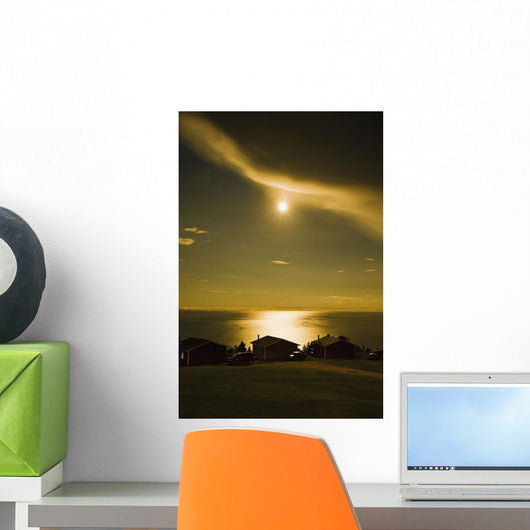 Artist's Choice Wall Mural
