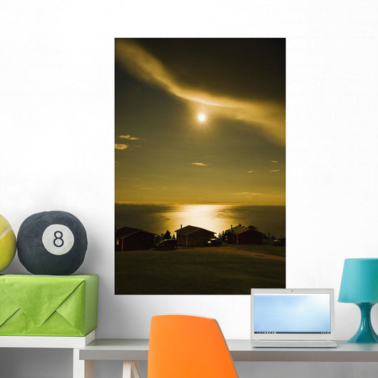 Artist's Choice Wall Mural