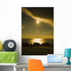 Artist's Choice Wall Mural