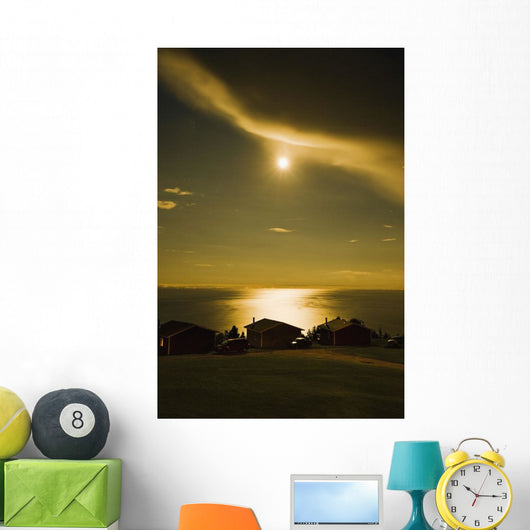 Artist's Choice Wall Mural