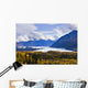 Matanuska Glacier Along Glenn Highway, Alaska Wall Mural