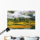 Tern Lake, Fog And Fall Colours, Alaska Wall Mural