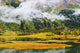 Tern Lake, Fog And Fall Colours, Alaska Wall Mural