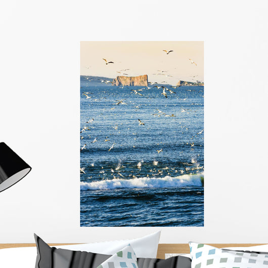 Gannets In Flight And Perce Rock At Sunrise From Barachois Wall Mural
