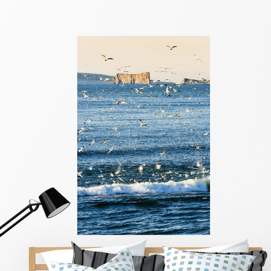 Gannets In Flight And Perce Rock At Sunrise From Barachois Wall Mural