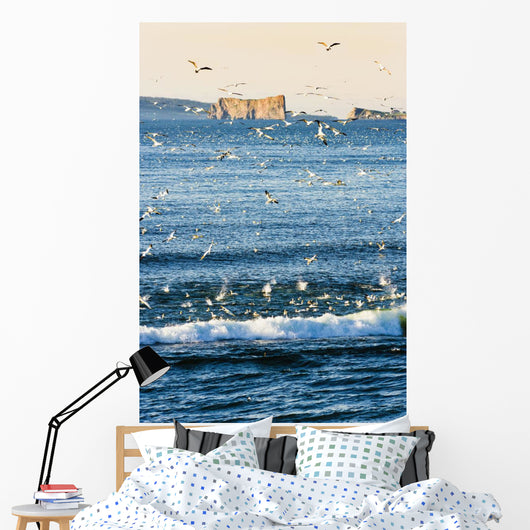 Gannets In Flight And Perce Rock At Sunrise From Barachois Wall Mural