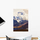 Artist's Choice Wall Mural