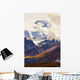 Artist's Choice Wall Mural