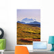 Mount Mckinley, Denali National Park, Alaska Wall Mural