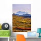 Mount Mckinley, Denali National Park, Alaska Wall Mural