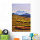 Mount Mckinley, Denali National Park, Alaska Wall Mural