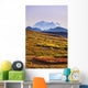 Mount Mckinley, Denali National Park, Alaska Wall Mural