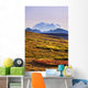 Mount Mckinley, Denali National Park, Alaska Wall Mural