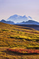 Mount Mckinley, Denali National Park, Alaska Wall Mural