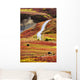 Grizzly Bears And Fall Colours, Denali National Park, Alaska Wall Mural