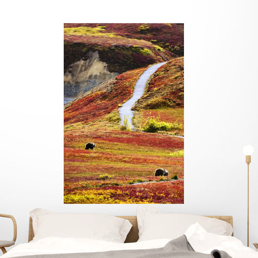 Grizzly Bears And Fall Colours, Denali National Park, Alaska Wall Mural