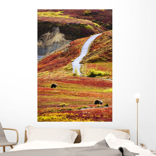 Grizzly Bears And Fall Colours, Denali National Park, Alaska Wall Mural