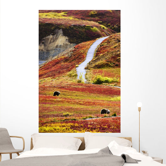 Grizzly Bears And Fall Colours, Denali National Park, Alaska Wall Mural