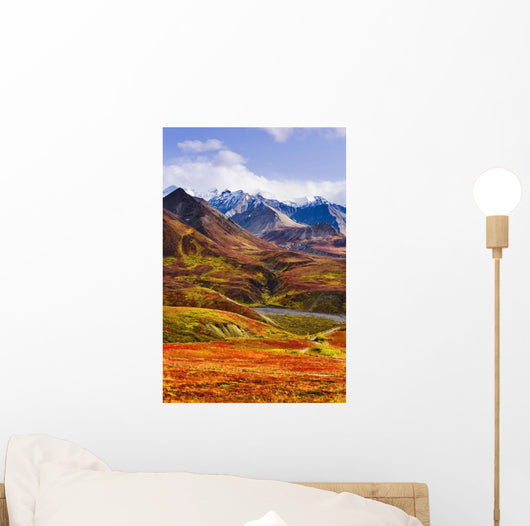 Fall Colours And Alaska Range, Denali National Park, Alaska Wall Mural