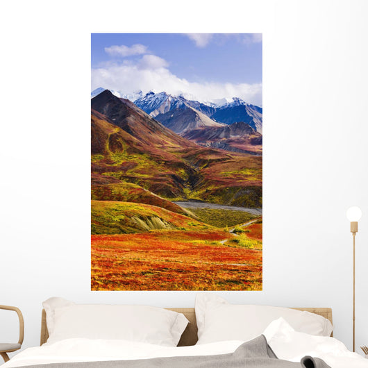 Fall Colours And Alaska Range, Denali National Park, Alaska Wall Mural