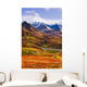 Fall Colours And Alaska Range, Denali National Park, Alaska Wall Mural